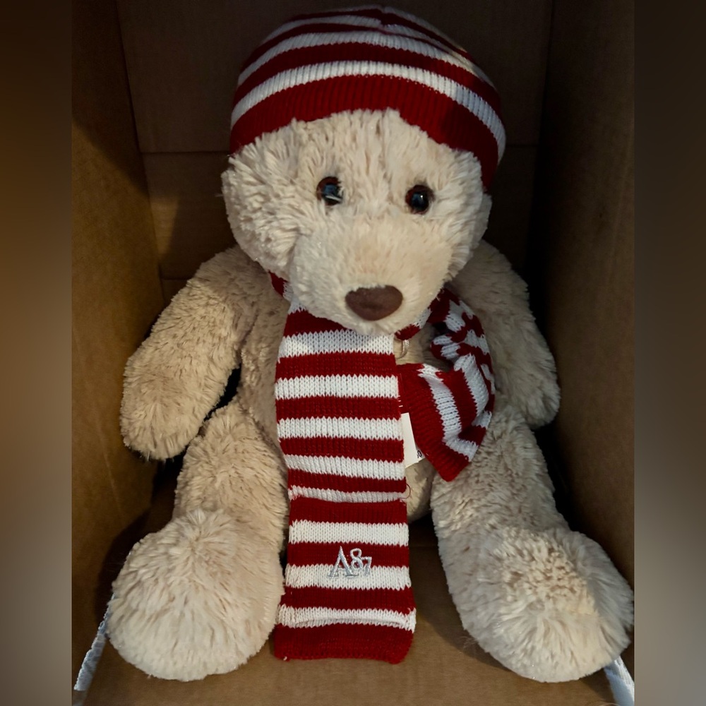 Aeropostale Teddy Bear winter/ holiday.  Nwt 14”